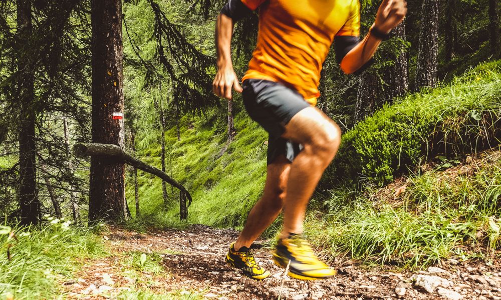 Suivi et performance